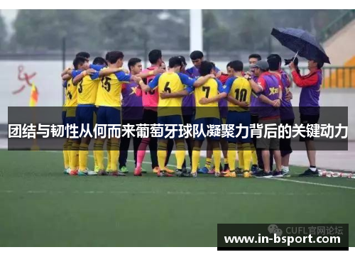 团结与韧性从何而来葡萄牙球队凝聚力背后的关键动力 团结与韧性从何而来葡萄牙球队凝聚力背后的关键动力