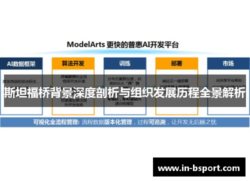 斯坦福桥背景深度剖析与组织发展历程全景解析
